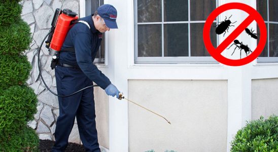 Sarıkamış Fare İlaçlama böcek ilaçlama ve haşere kontrolü — ilaclama-tr.com